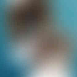 Textured white pearl vinyl wall wrap in luxury yacht master cabin SALT Australia