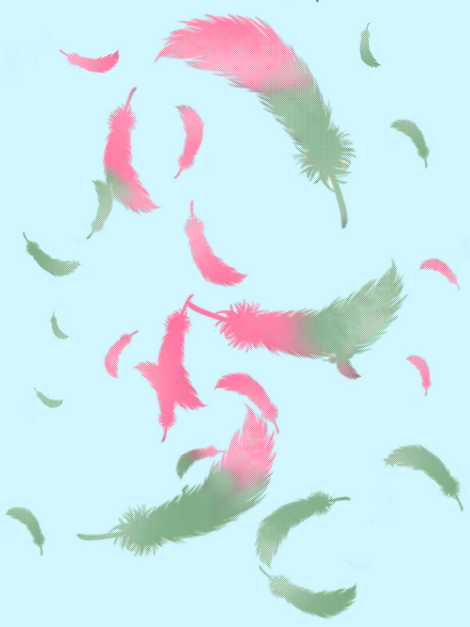 300_羽_2.png