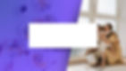 Presentacion inteligencia artificial tecnologica futurista azul y violeta (5).jpg