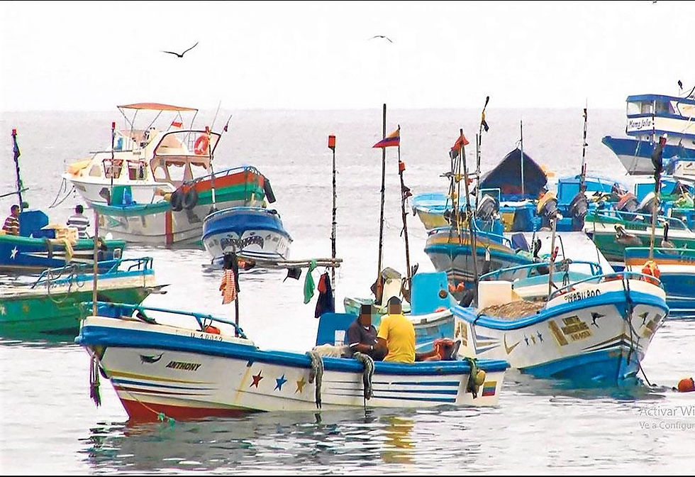 20171112040000_balean-a-pescador-en-asalto-en-el-m