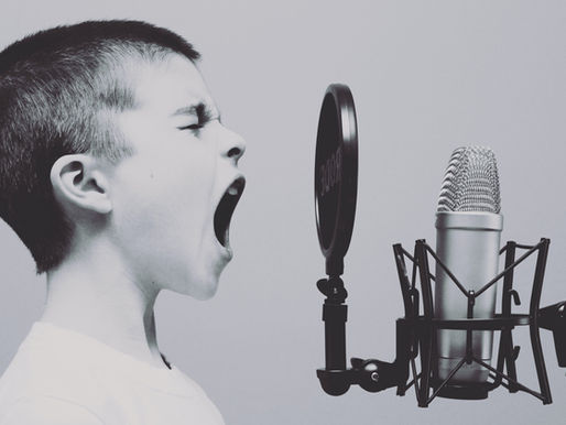 The Art Of Persuasion