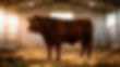 imgi_1_hero-livestock-nEFWSKcr.jpg