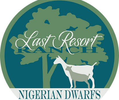 LR Logo.png