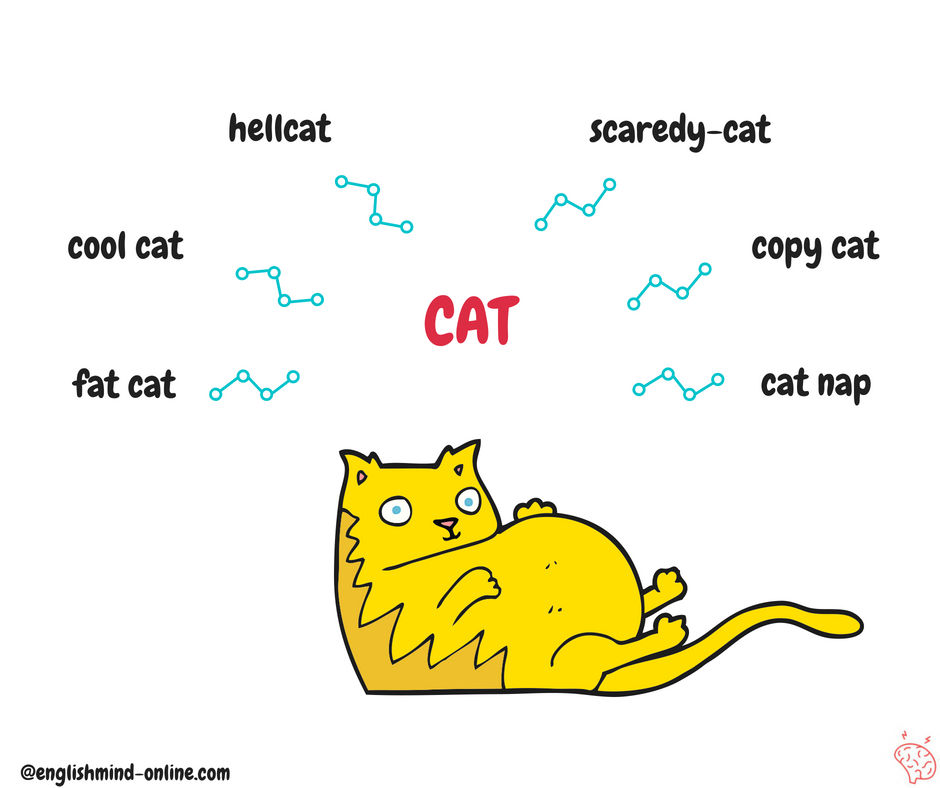Curiosity Killed The Cat English Cat Idioms And Phrases
