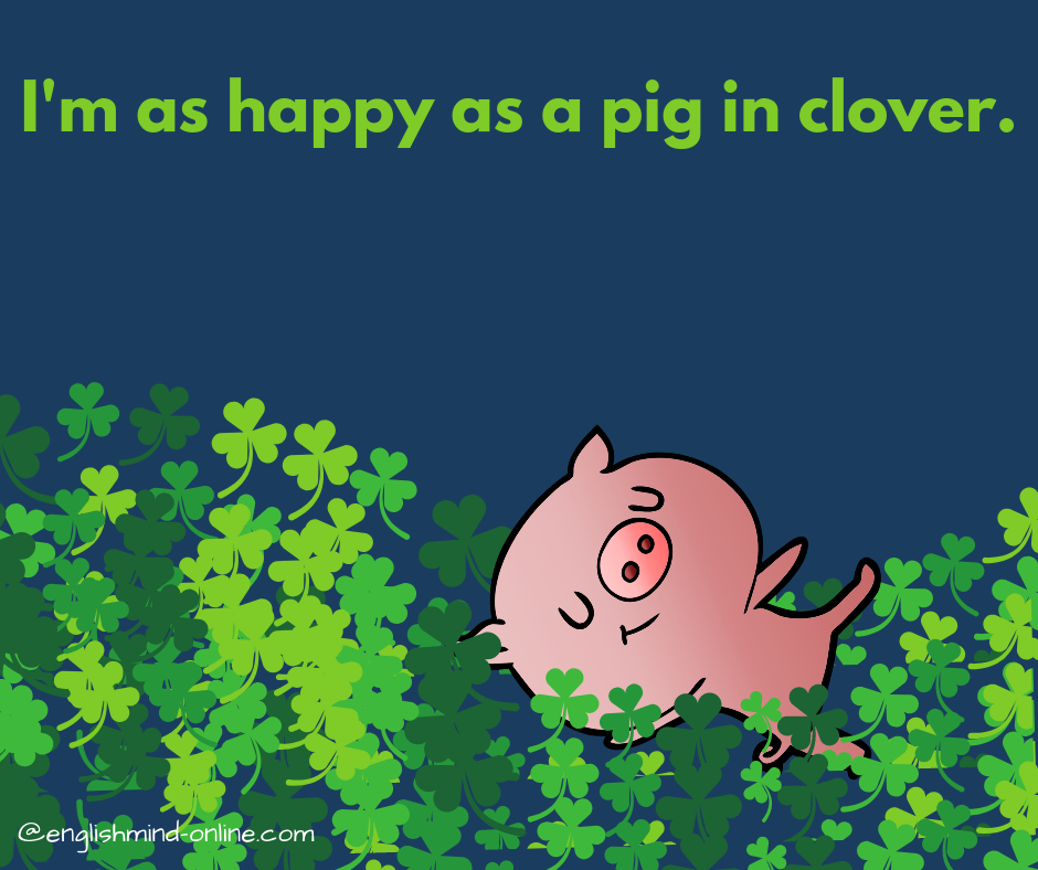 happy idioms in English - as happy as a pig in clover