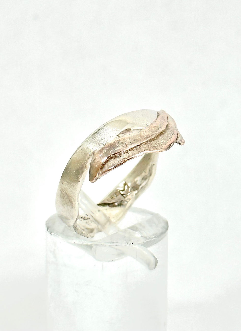 Thumbnail: Dolphin ring