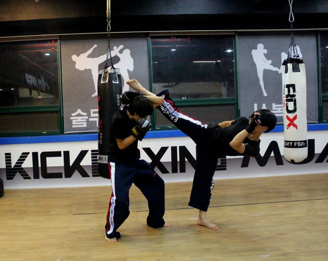 High Kick block 