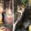 Miniaturbild: Baldur Galoor Gemälde Dark soul: Portrait Person / wie Francis Bacon / Surreal / Gelb / visionär: Detail Gesicht und Auge