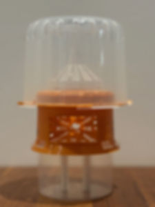 Selectieve val + 1 lokstofstick