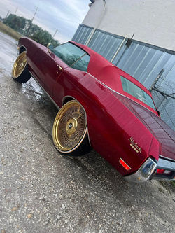 483605463_122119027940713919_2242683661521246672_n