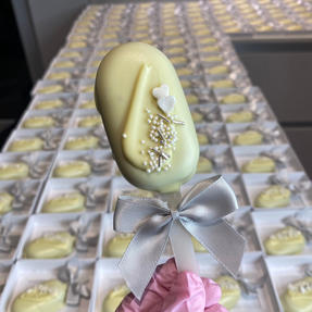 Cakesicle & Cakepop Favours