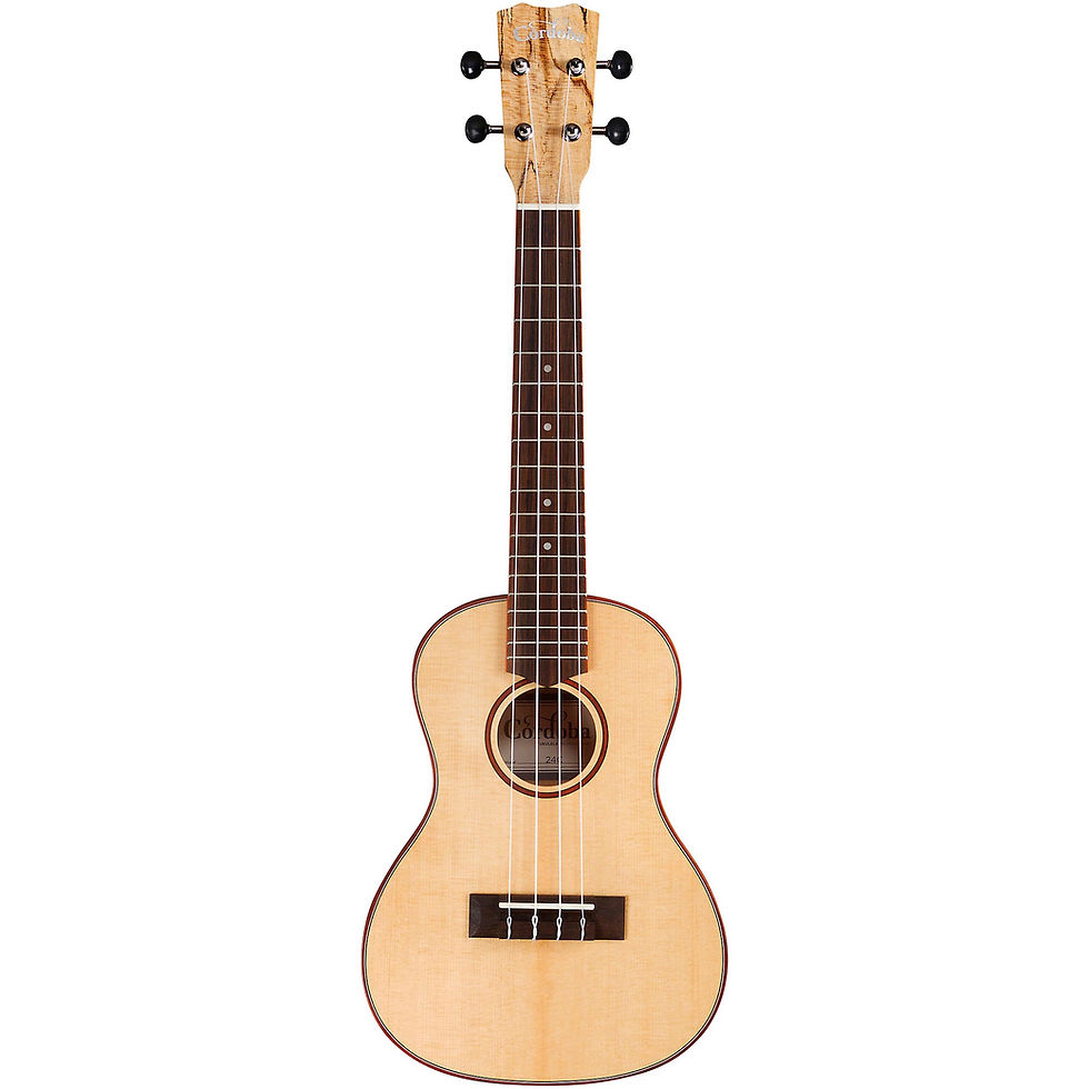 24C Spruce Spalted Maple Concert Ukulele - Cordoba
