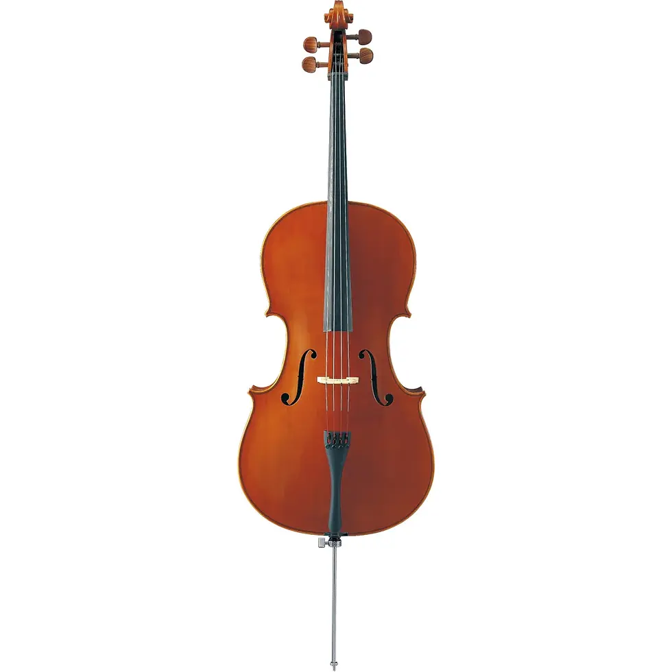 AVC5-44S 4/4 Student Cello Outfit : Yamaha