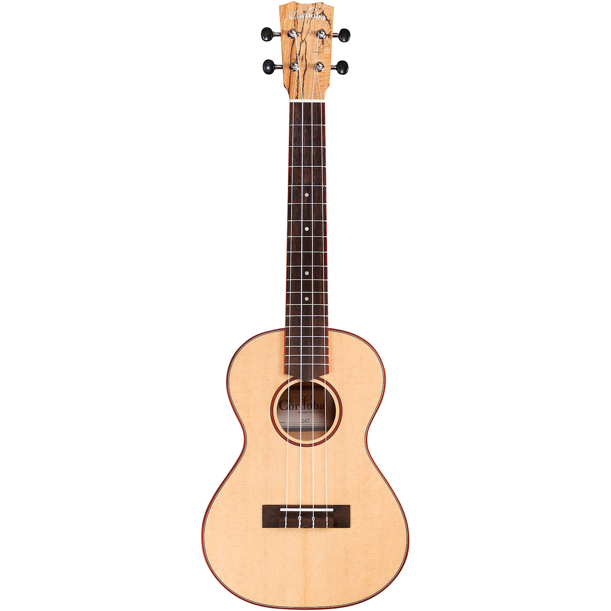 24T Spruce Spalted Maple Tenor Ukulele - Cordoba