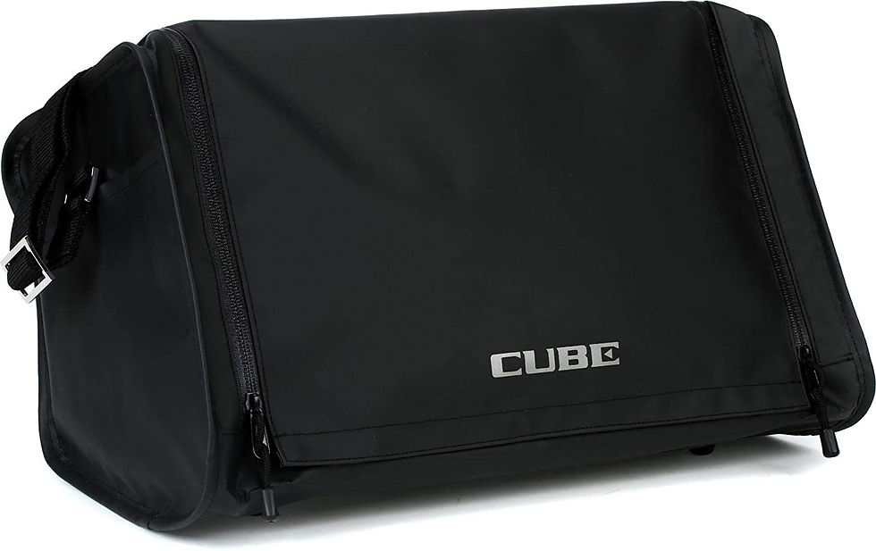 CB-CS1 Carry Bag for Cube Street Amp : Roland