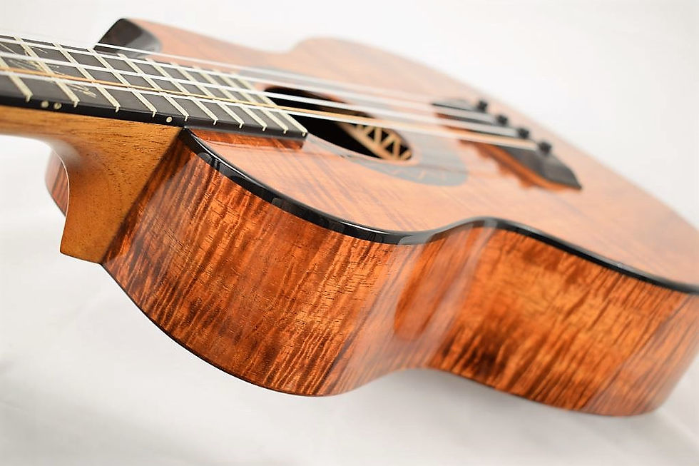 Thumbnail: WILLIEK-ST5 Willie K. Signature 5-String Premium Curly Hawaiian Koa  : Kanile'a