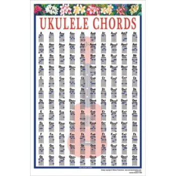 1058 Ukulele Chords Poster 22.5 x 34 : Walrus Products