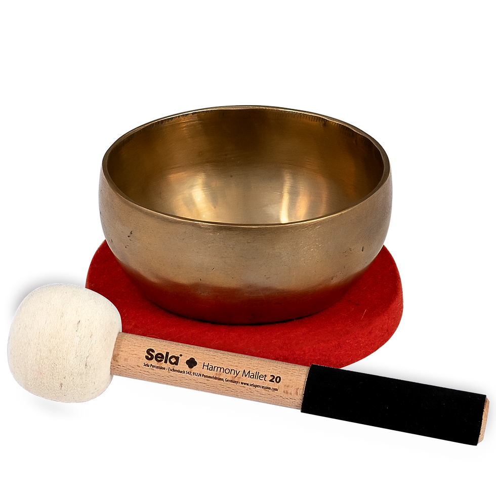 SE260 Harmony Singing Bowl 12cm : Sela