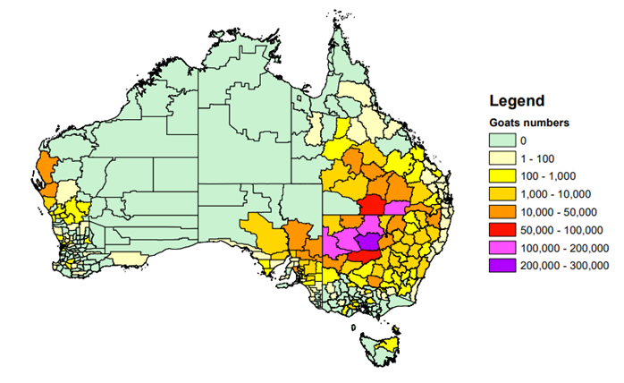 RESOURCES Boergoataustralia