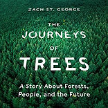 A Journey of Trees Key Art.jpg