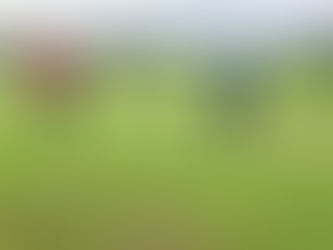 KV de Brink pakt punt van sterk Mander