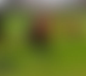 Twee keer winst voor de Brink