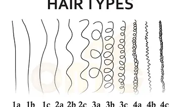 Different-Types-of-Hair-Type-Natural-Hair-Texture-Chart-Curl-Pattern-ONYC-Hair.webp