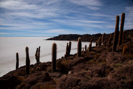 MM_20100604_Bolivia_1122.jpg