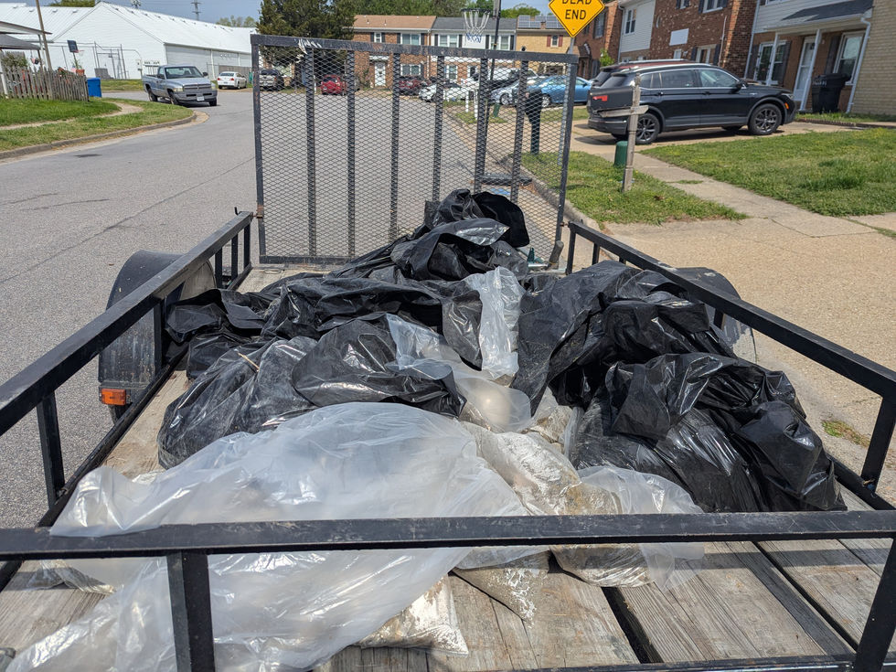 PXL_20250420_143112758