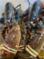 Lobster