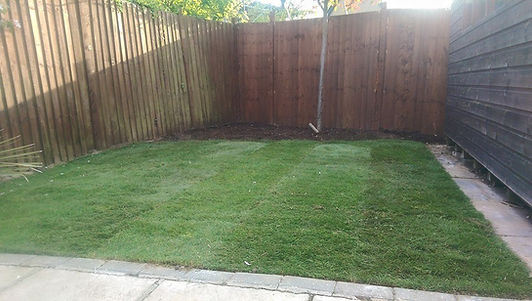 Before & After_Turfing 2.jpg