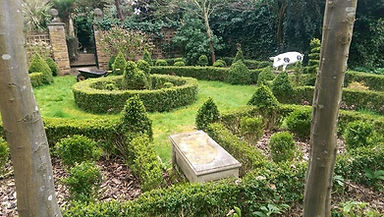 hedge trimming 1.jpg