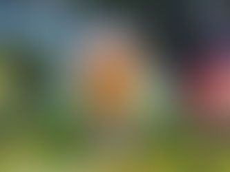 Pinocchio and friends plush