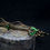 Miniature : Bracelet