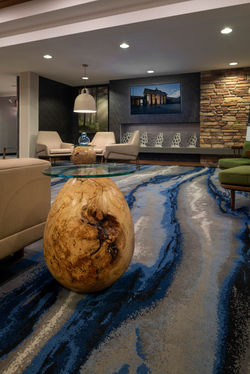 Egg looking towards Fireplace and TV.jpg