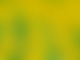 魯冰花季盛大開幕 一起來龍潭賞花