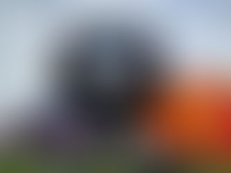 熊讚熱氣球出任務 國內外通告滿檔拚觀光