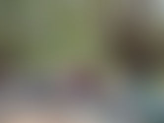 來新北玩公園 盤點孩子們的秘密基地