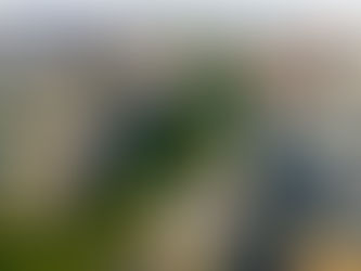 行道樹串聯綠色脈動 北市15年造就林蔭大道