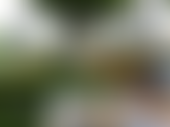 防颱! 北市加強樹木修剪固定 搶災人員及機具待命