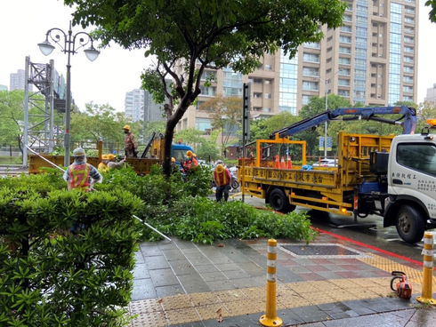 防颱! 北市加強樹木修剪固定 搶災人員及機具待命