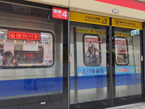 臺北捷運「寵物友善列車」出發 毛孩與爸媽共享乘車樂趣