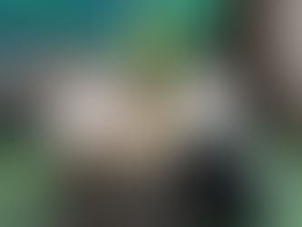 大貓熊「圓仔」12歲生日快樂