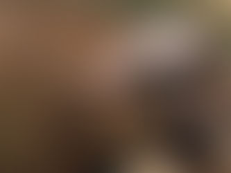 穿山甲「士林」當爸 女兒「膏夏」滿月來報到