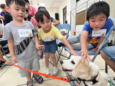 Q萌治療犬 陪早療幼兒一起學習