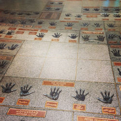 Créditos: Anna Shinoda