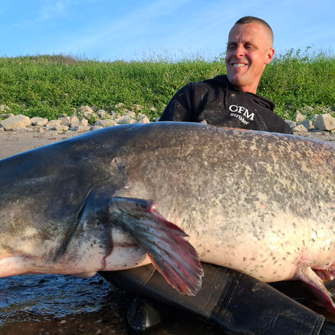 Paul Breems zet het Nederlands record op scherp met een meerval van 247 cm.