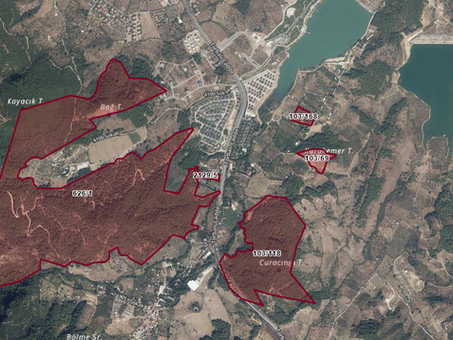 izmir kemalpaşa kamulaştırmasız el atma davası, asliye hukuk dava tapu kadastro