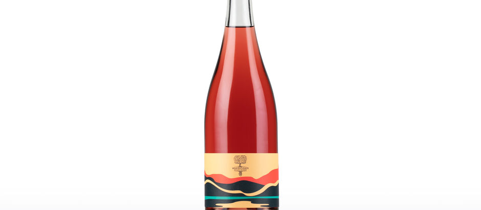 When a Visual Language Catches On