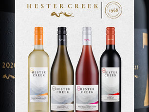 The Art of Wine Bottle Photography: Capturing the Essence of Your Brand